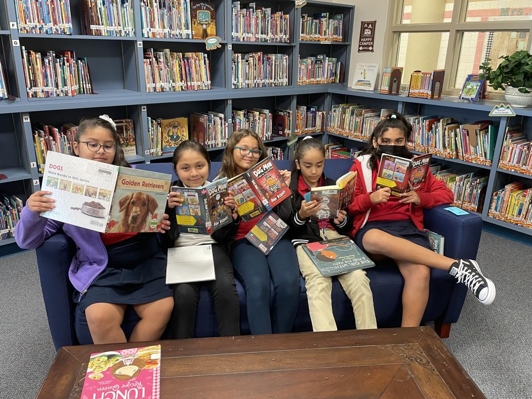 Students reading in the library